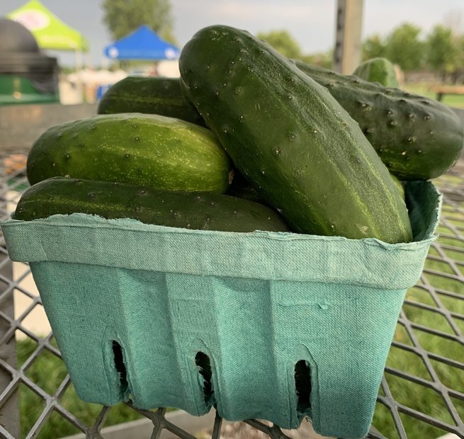 Pickling Cucumbers Image
