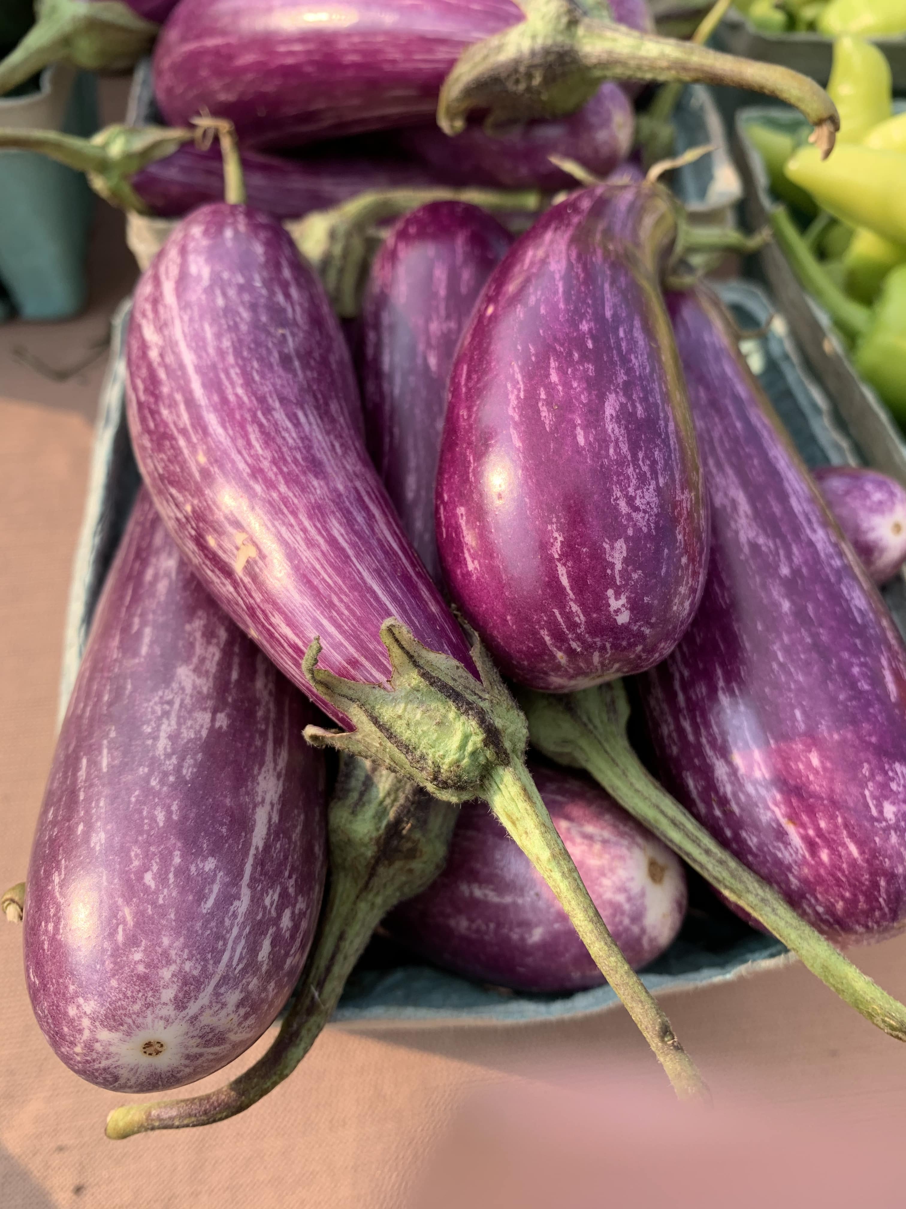 Fairy Tail Eggplant Image
