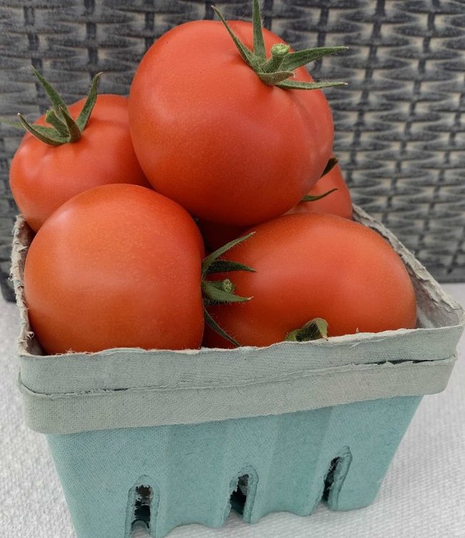 Geronimo Tomatoes Image