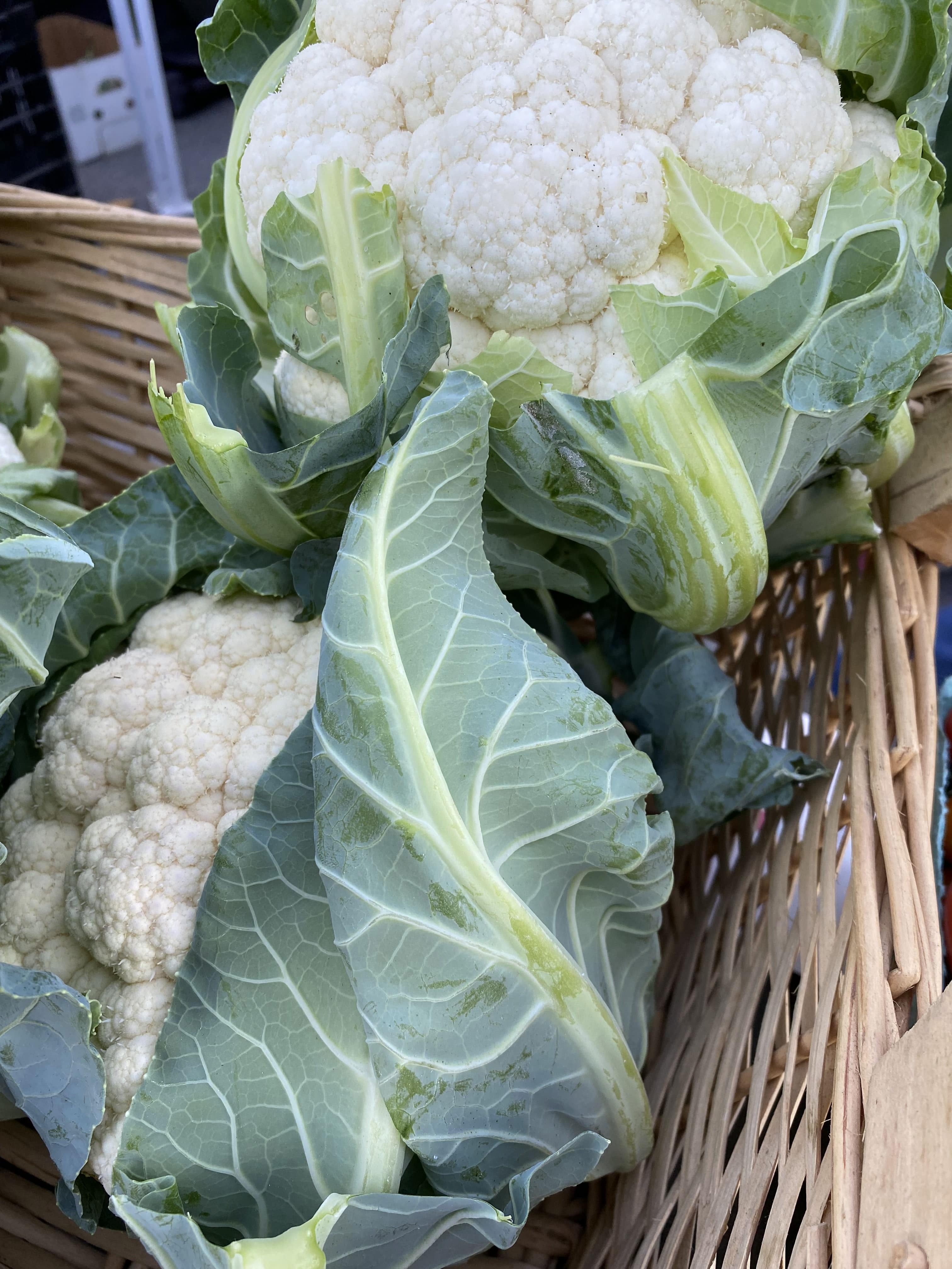 Cauliflower (White) Image