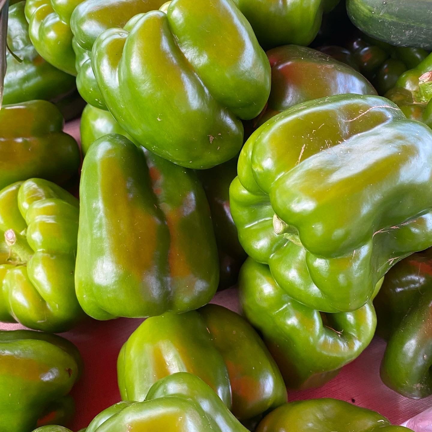 Green Bell Peppers Image