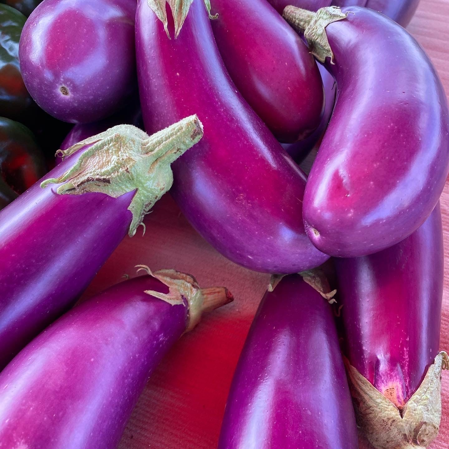 Japanese Eggplant Image