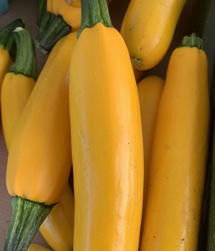 Yellow Zucchini Image